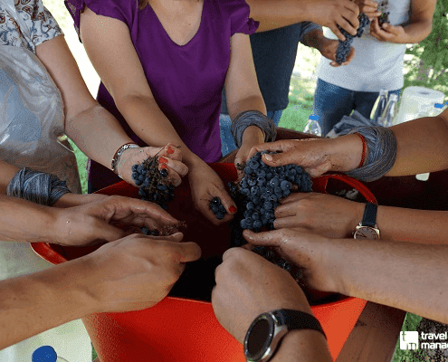 TravelManagment-Organizirane-na-Sabitia-Wine Making Team Building 1